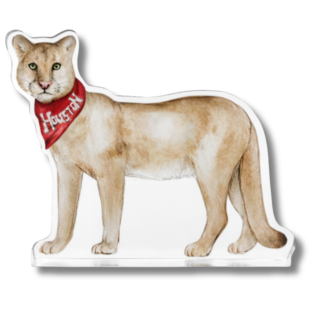 Cougar Acrylic