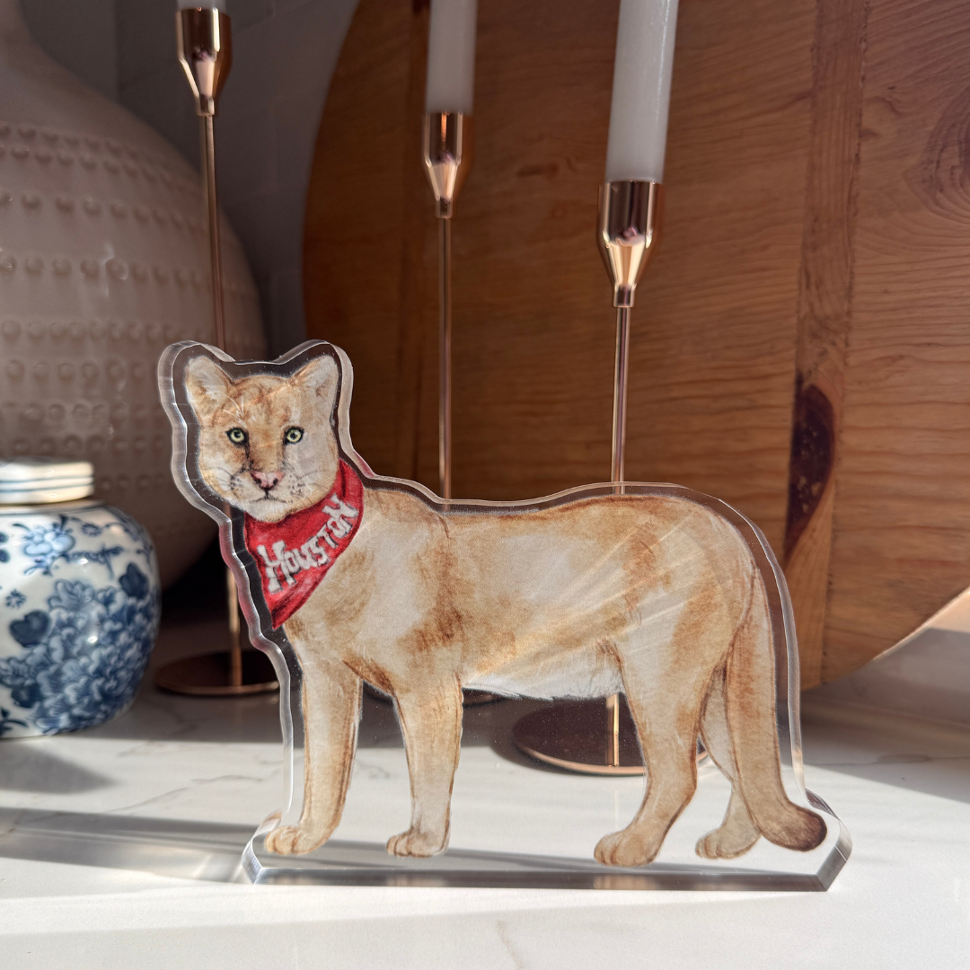 Cougar Acrylic
