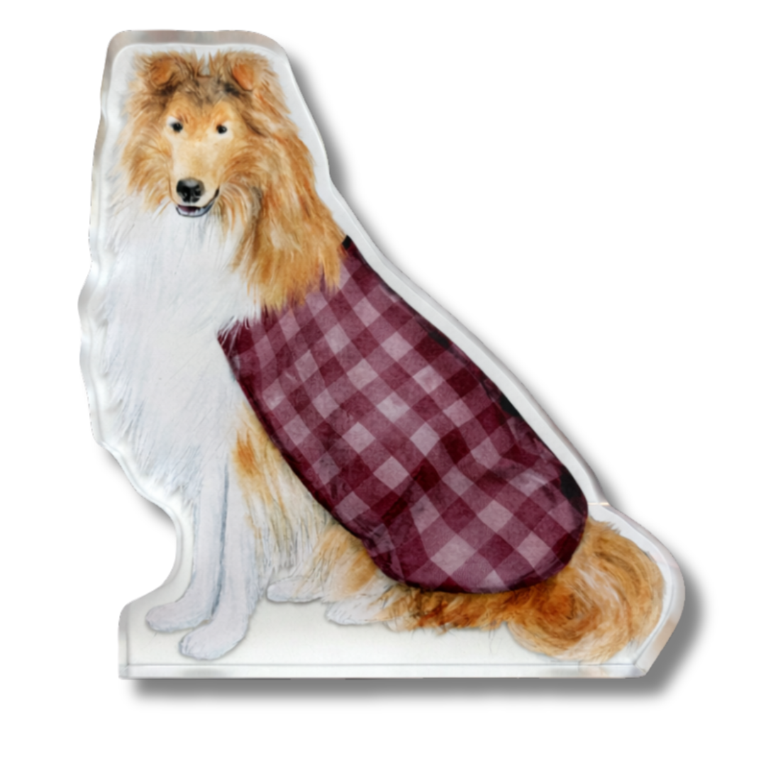 Collie Acrylic