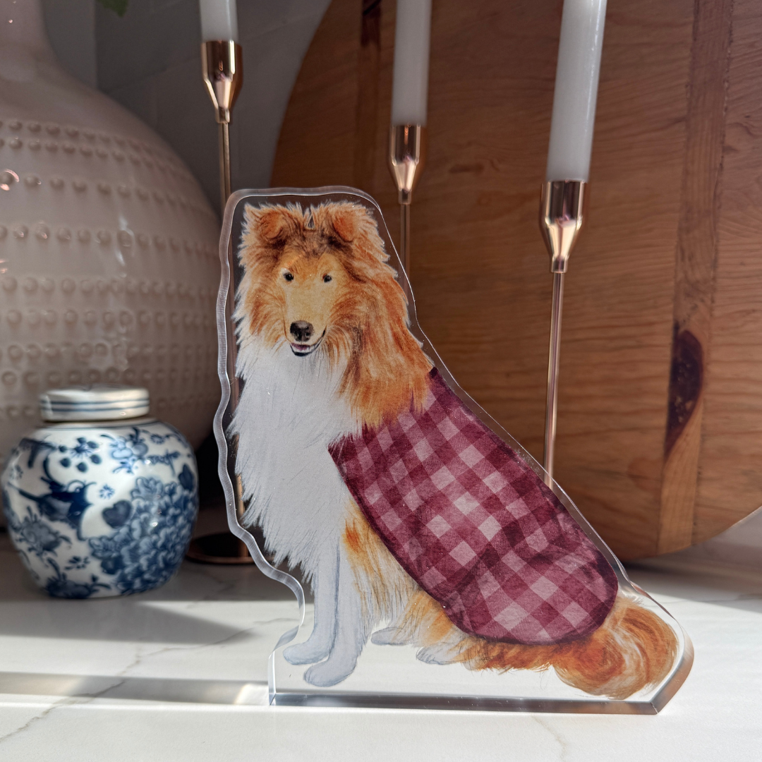 Collie Acrylic
