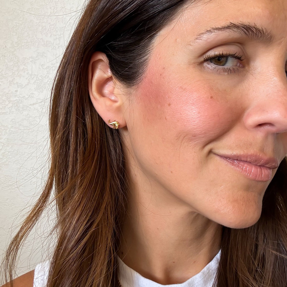 Crocodile Stud Earrings