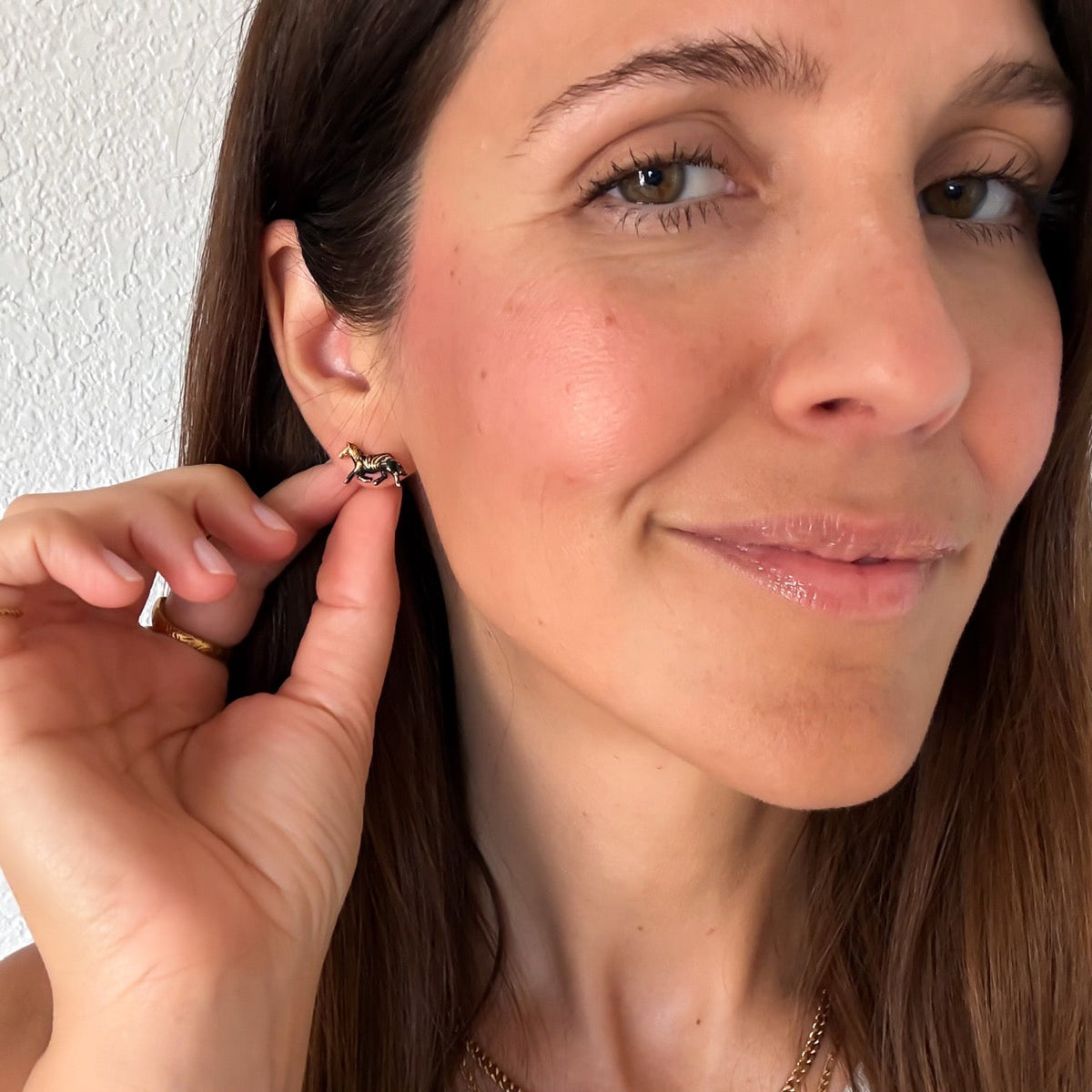 Zebra Mini Stud Earrings