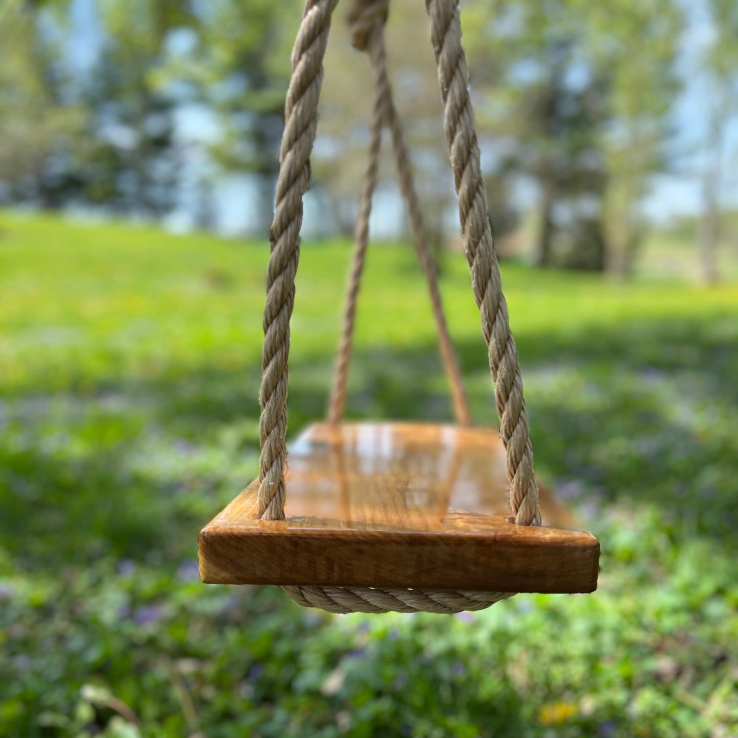 Final Chance – Hickory Wood Bench Tree Swing (Discontinued)