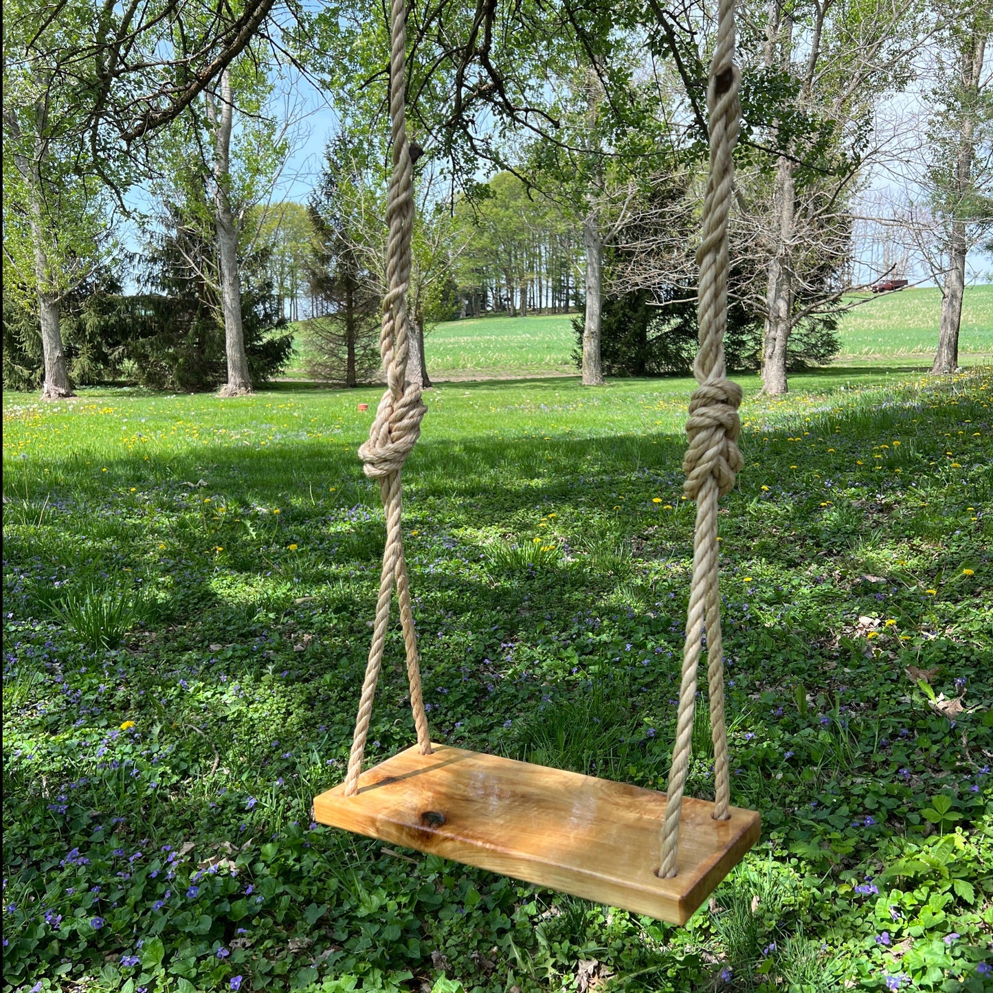 Final Chance – Hickory Wood Bench Tree Swing (Discontinued)