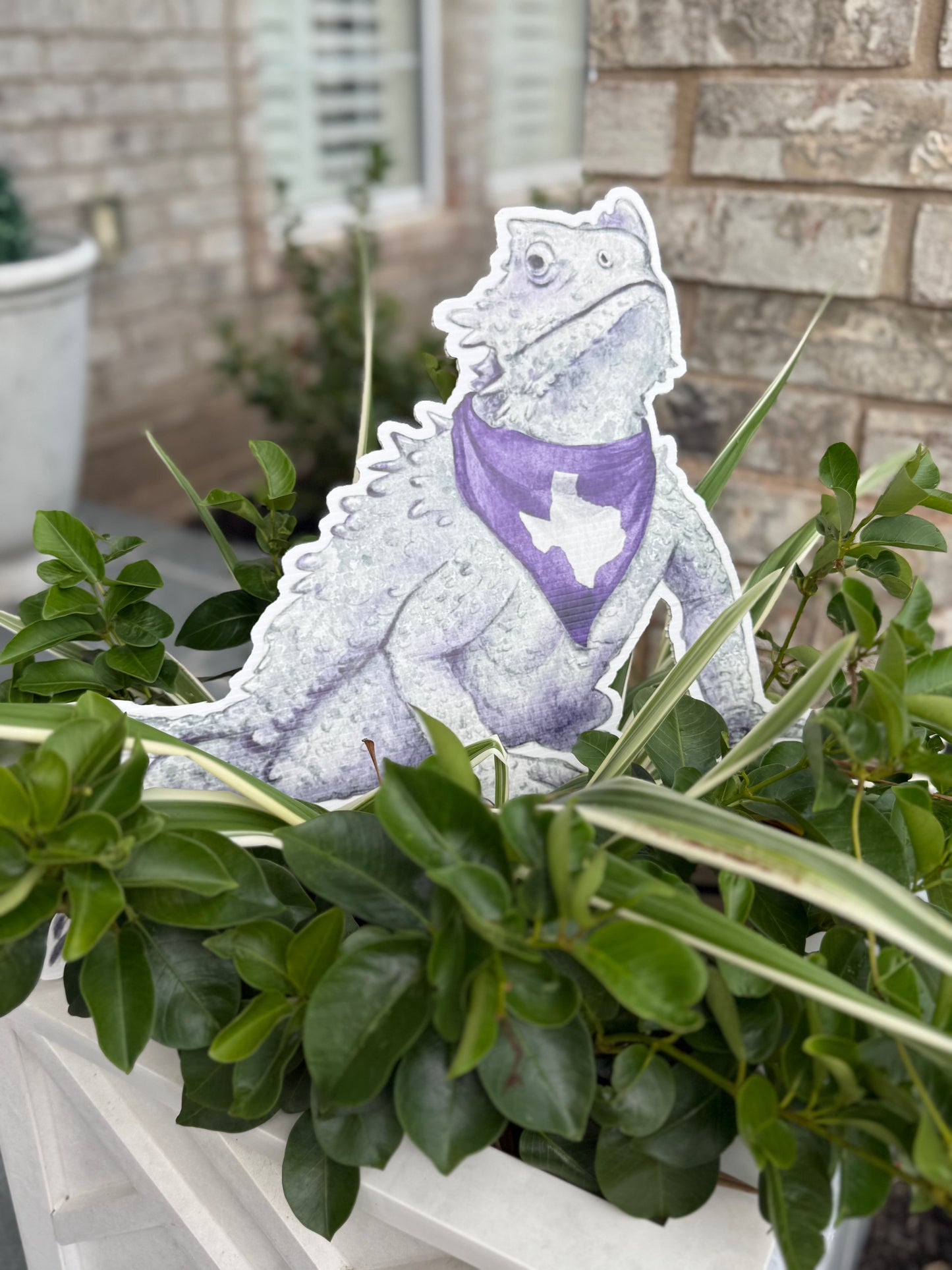 Frog Garden Stake