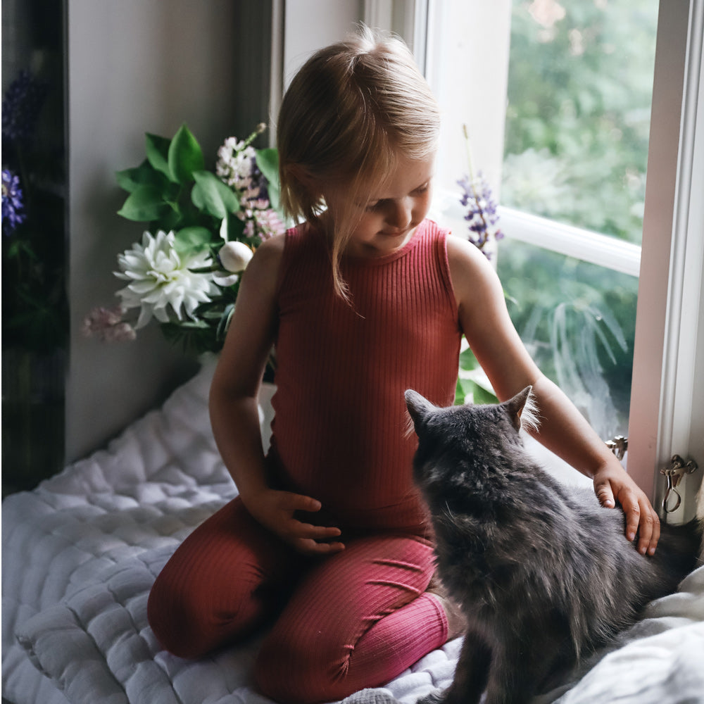 The Tank - Raspberry