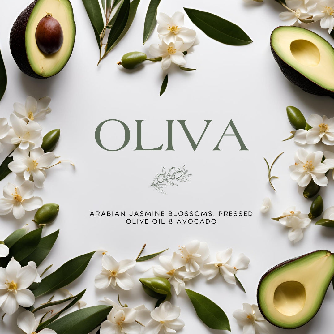 Oliva (14 oz Double Wick) - Notes: Arabian Jasmine Blossoms, Pressed Olive Oil & Avocado