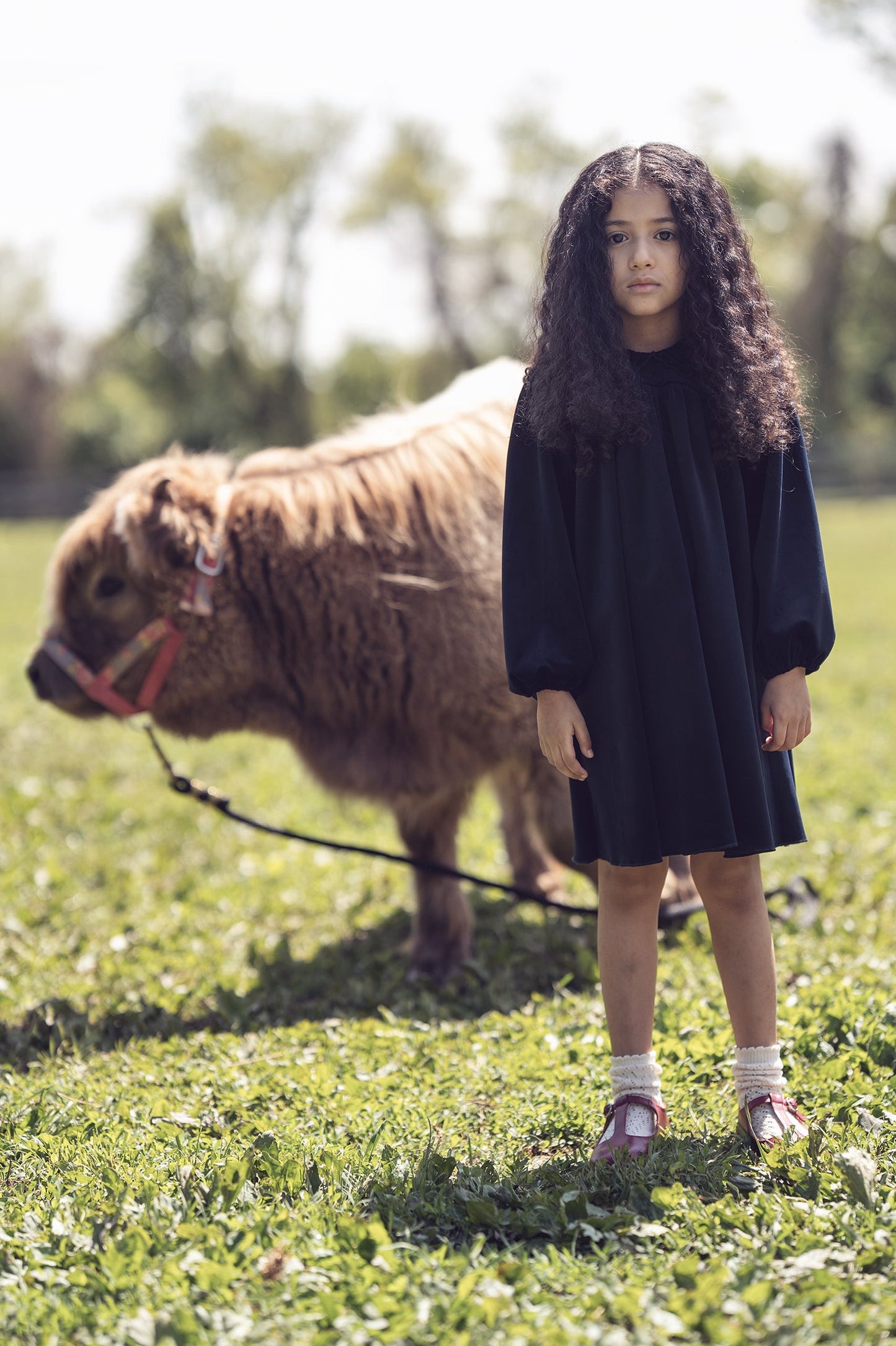 Nola Velvet Dress - Navy