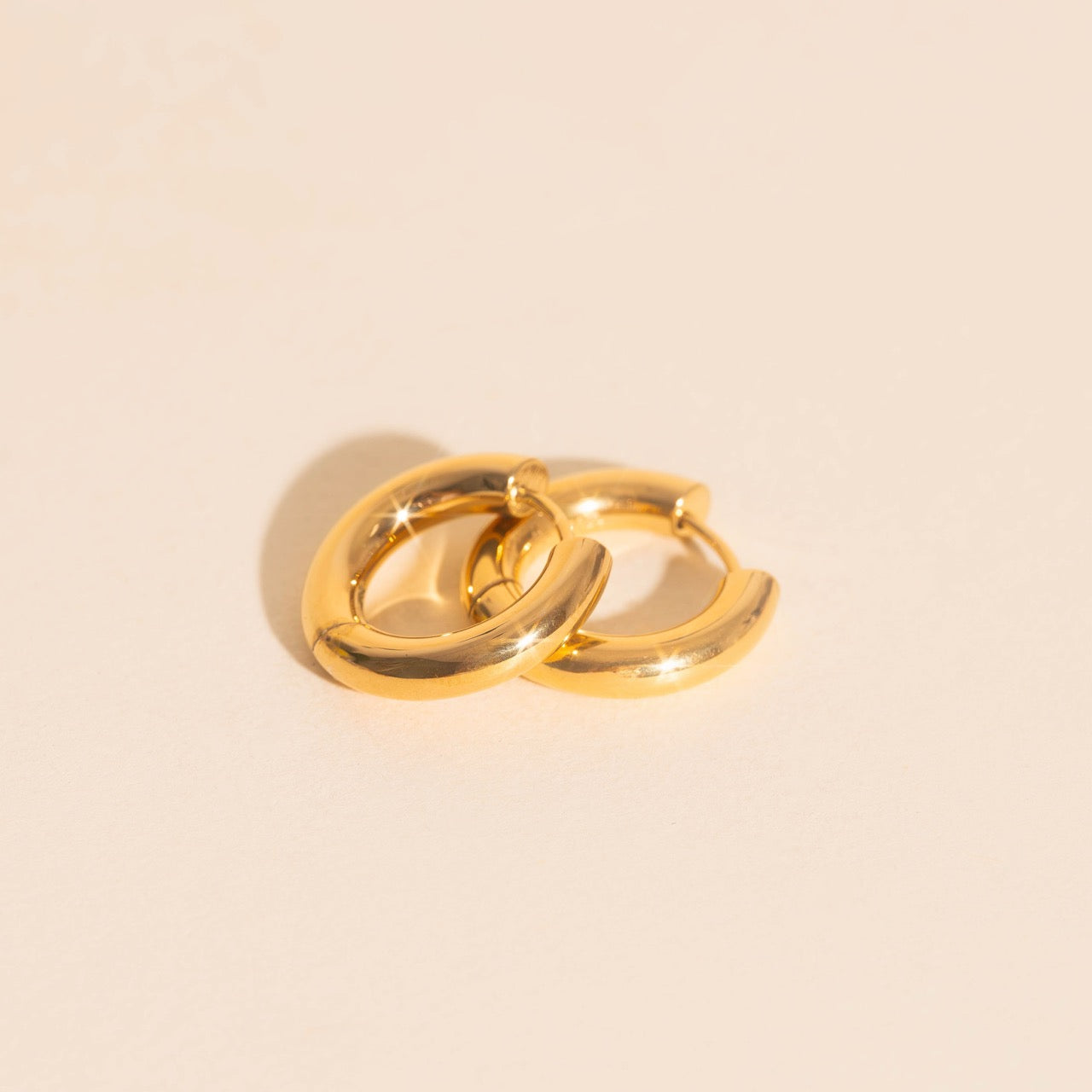 Titanium Chunky Rounded Huggie Hoop Earrings