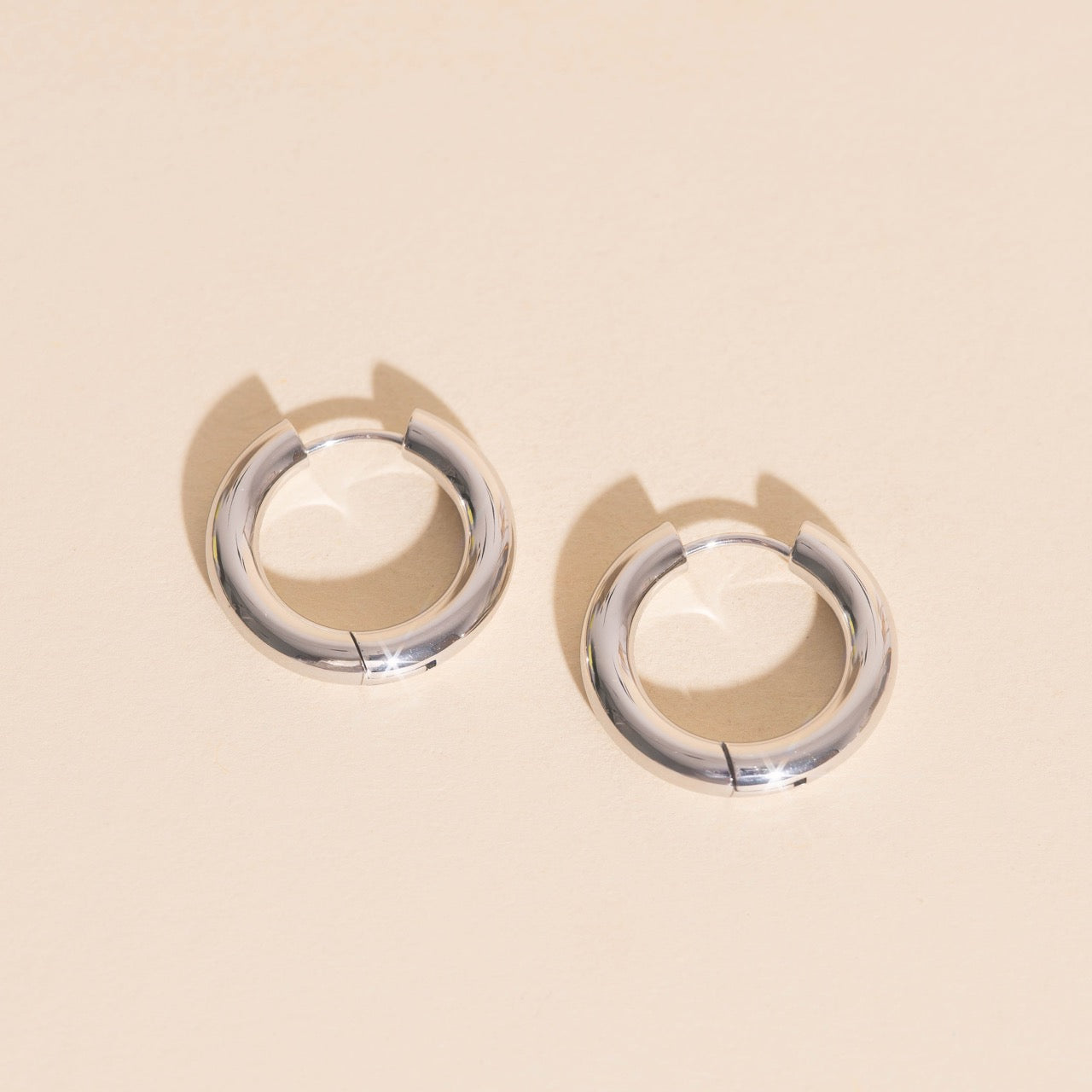 Titanium Chunky Rounded Huggie Hoop Earrings