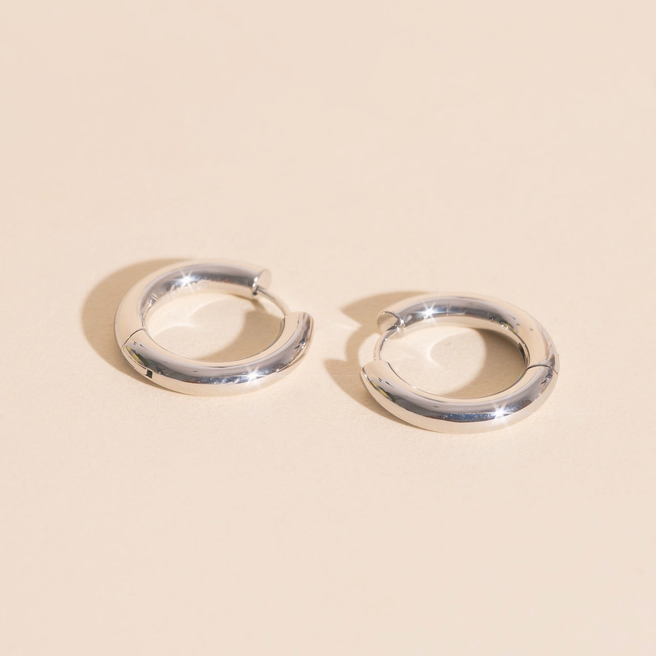 Titanium Chunky Rounded Huggie Hoop Earrings