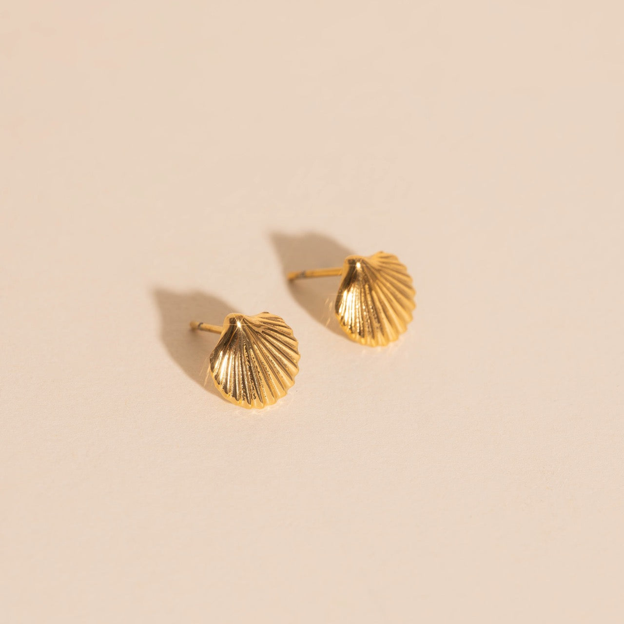 Mini Seashell Stud Earrings