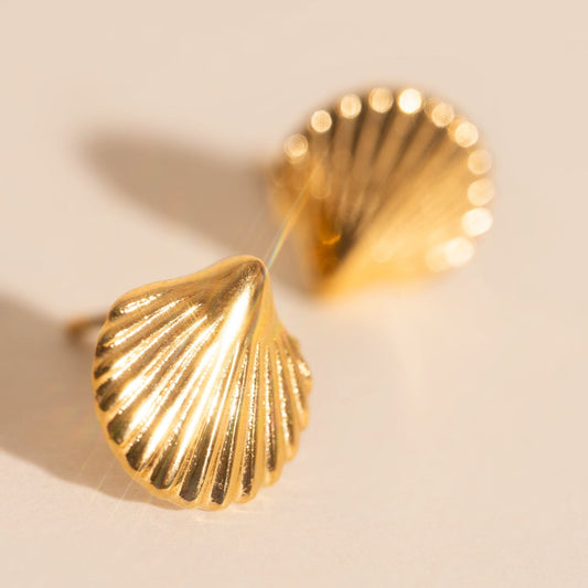 Mini Seashell Stud Earrings