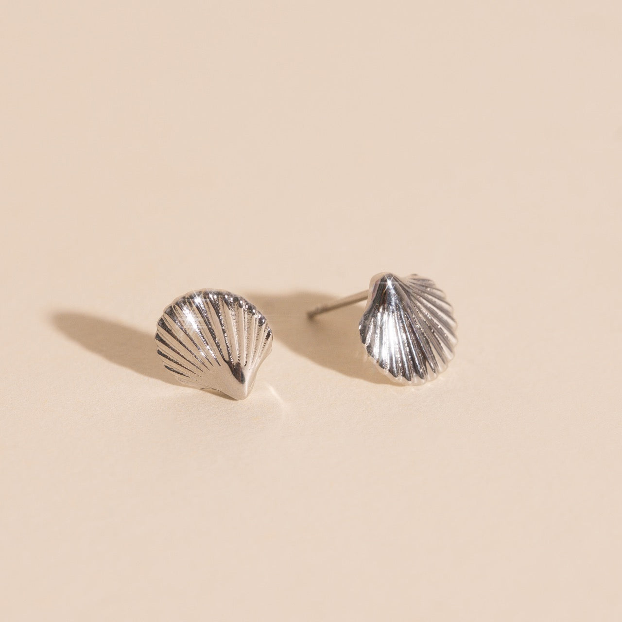 Mini Seashell Stud Earrings