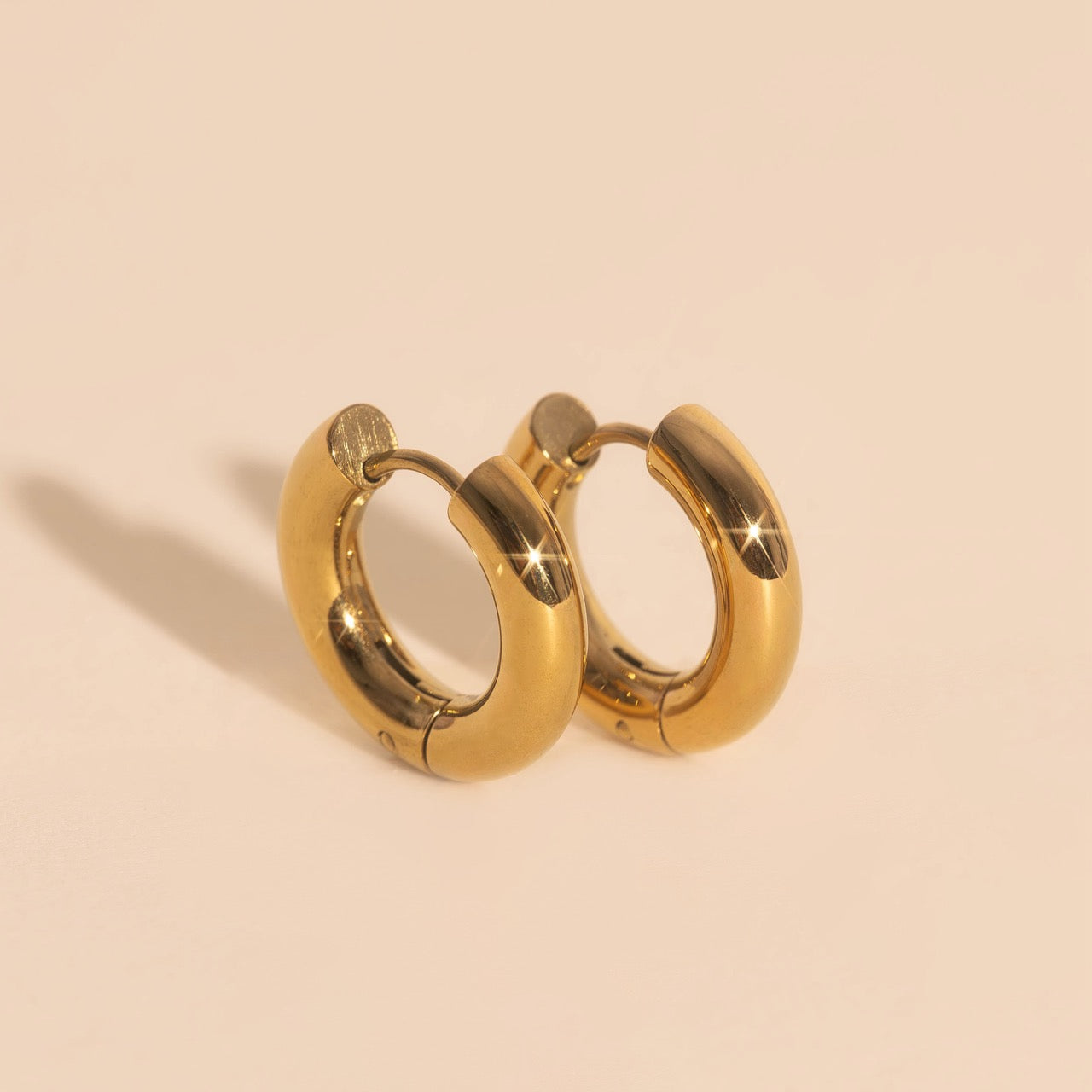 Titanium Chunky Rounded Huggie Hoop Earrings