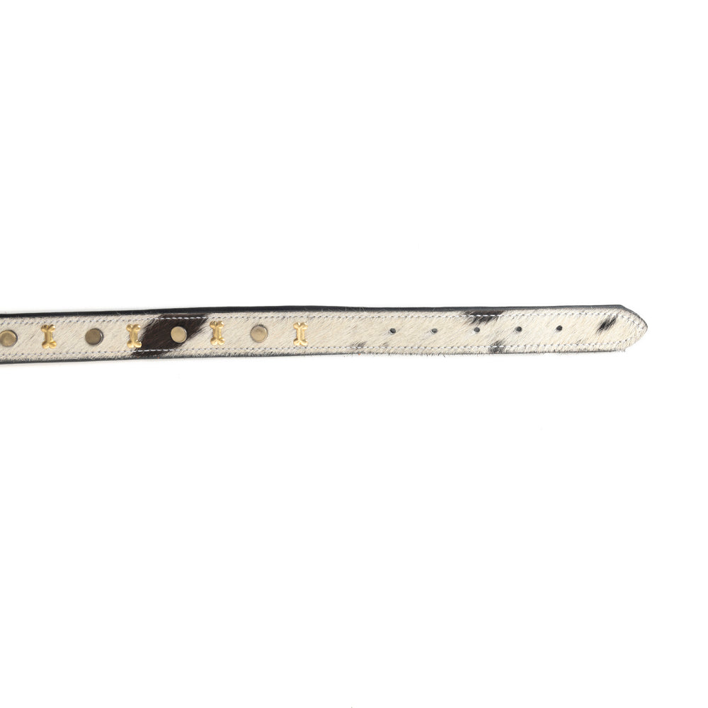Prairie Paws Studded Hairon Dog Collar in Ash & Ivory