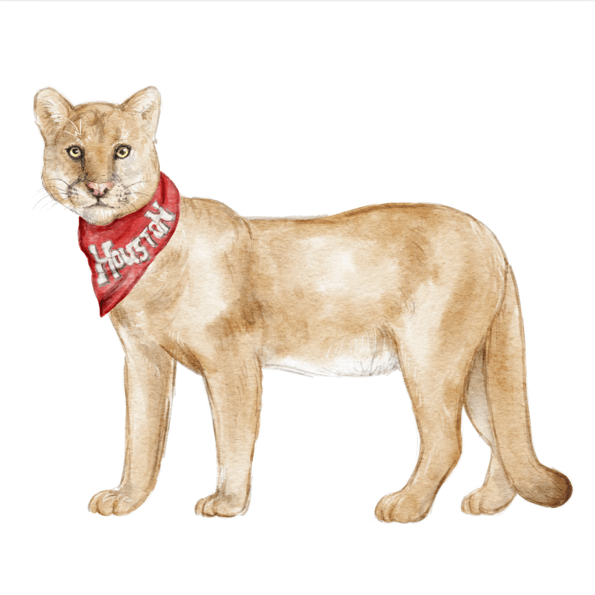 Cougar Acrylic