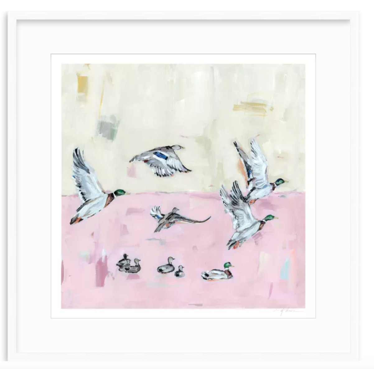 Taking Off Pink Ducks Fine Art Print