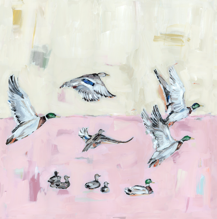 Taking Off Pink Ducks Fine Art Print