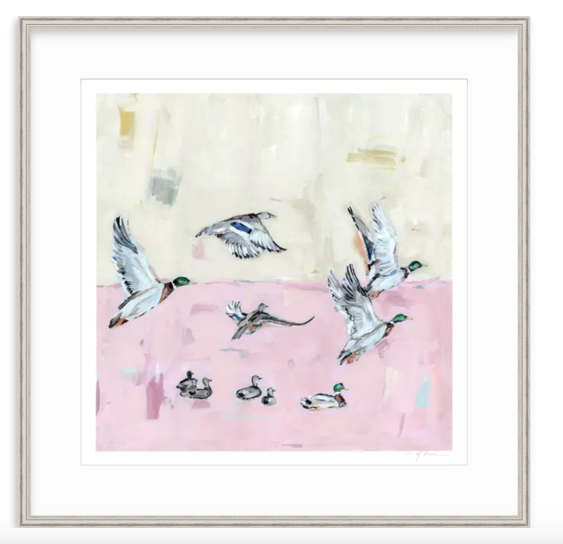 Taking Off Pink Ducks Fine Art Print