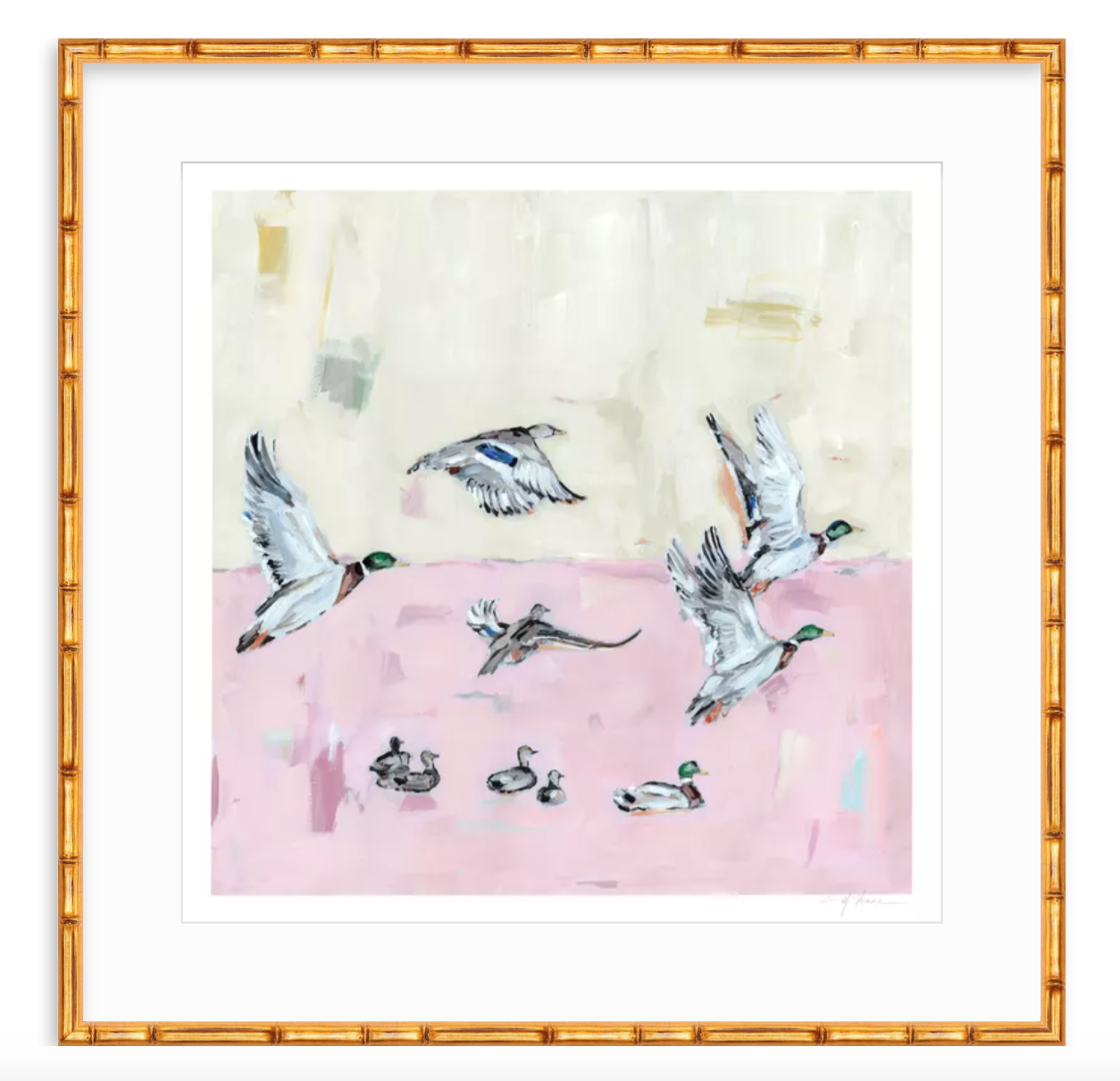 Taking Off Pink Ducks Fine Art Print