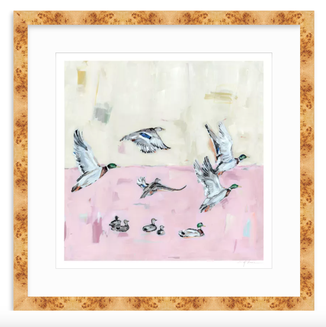 Taking Off Pink Ducks Fine Art Print