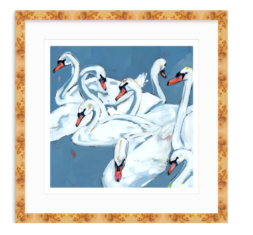 Swan Lake Swan Fine Art Print