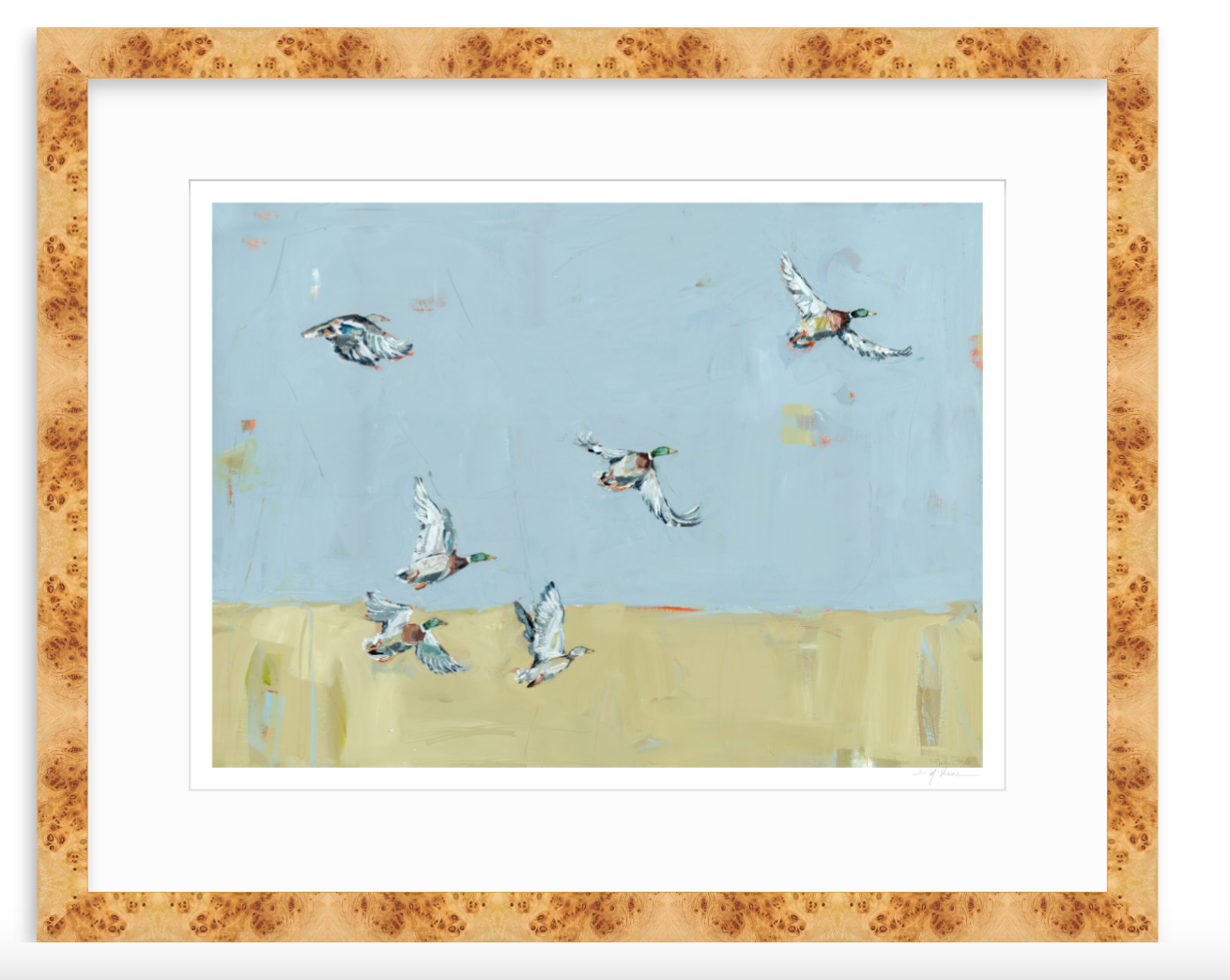 Here We Go Again Ducks Fine Art Print