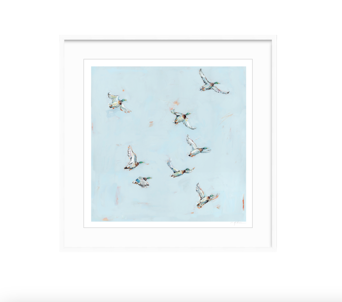 Free Flying Ducks Fine Art Print