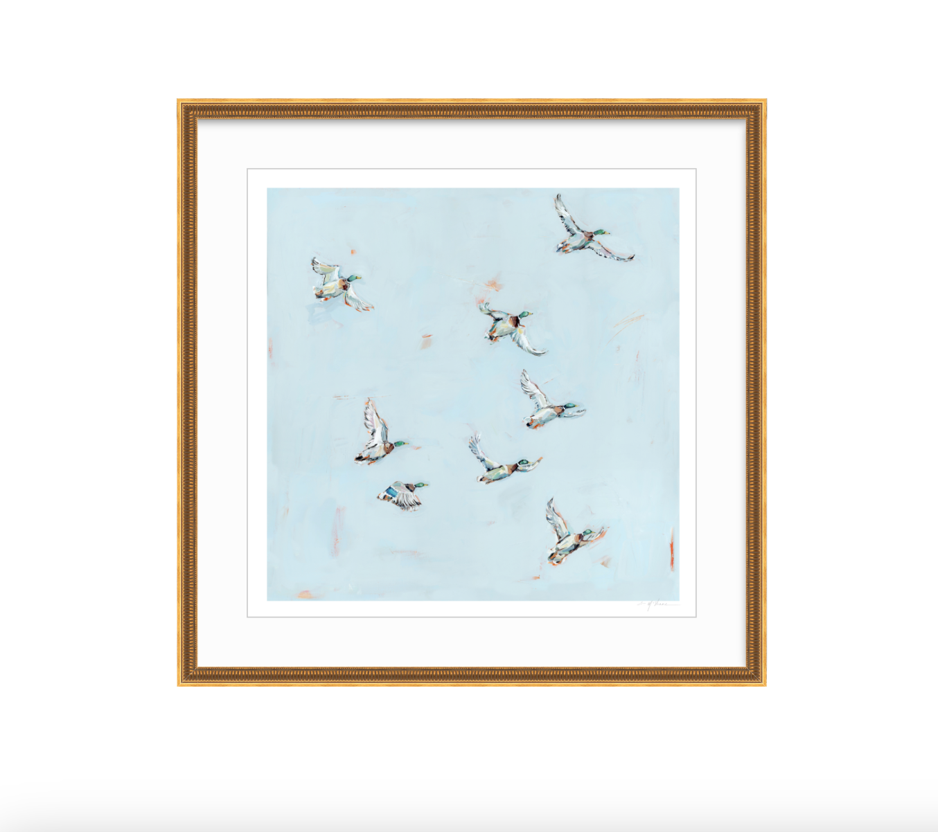 Free Flying Ducks Fine Art Print