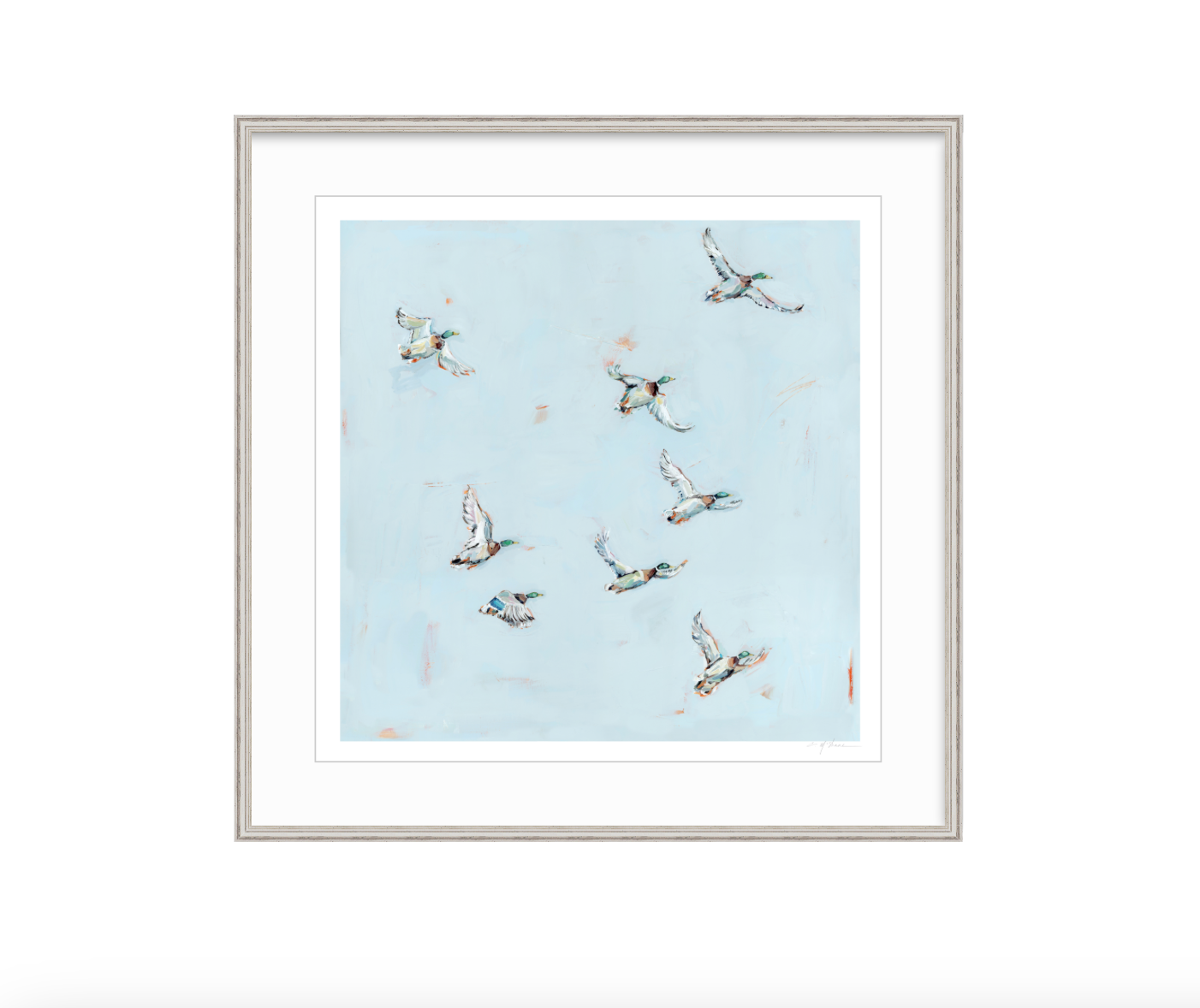 Free Flying Ducks Fine Art Print