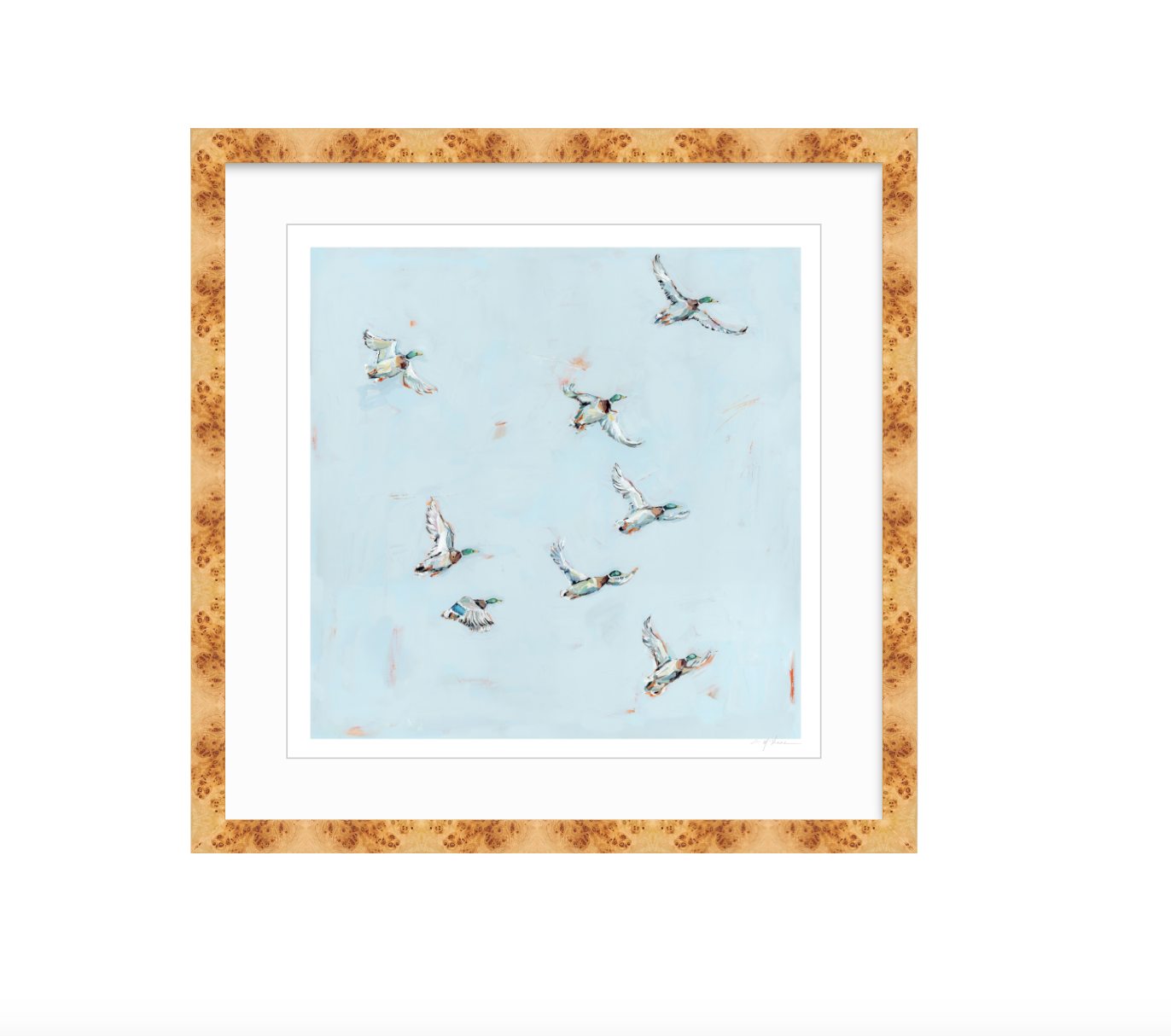 Free Flying Ducks Fine Art Print