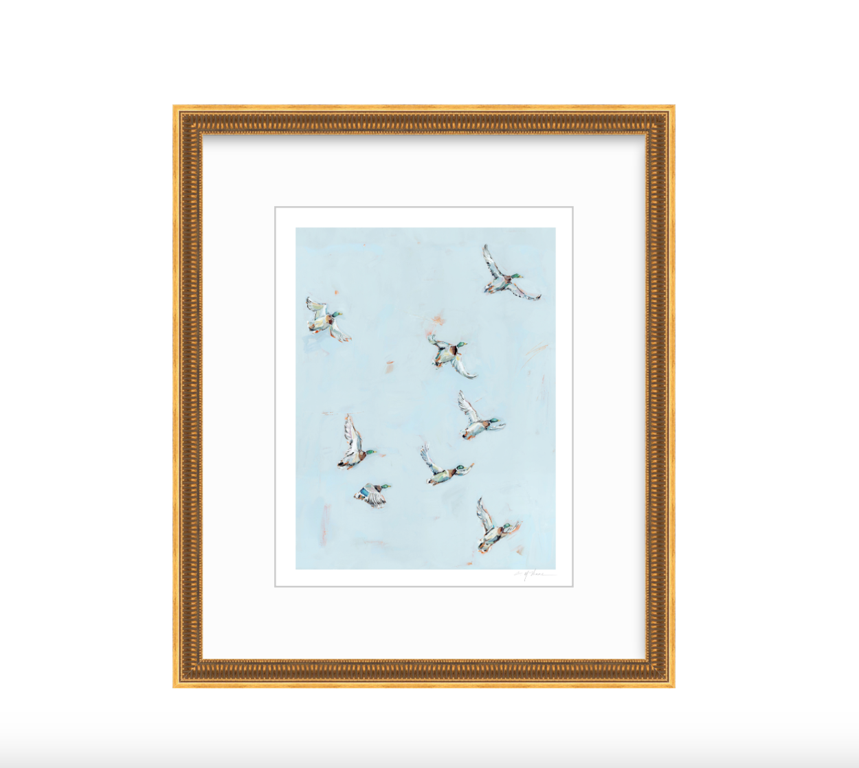 Free Flying Ducks Fine Art Print