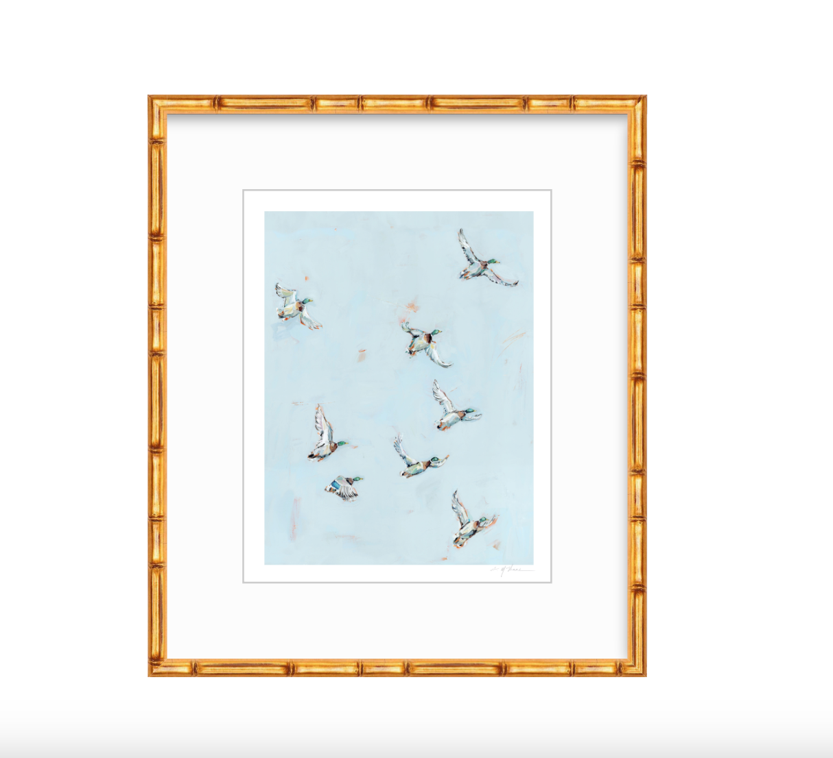 Free Flying Ducks Fine Art Print