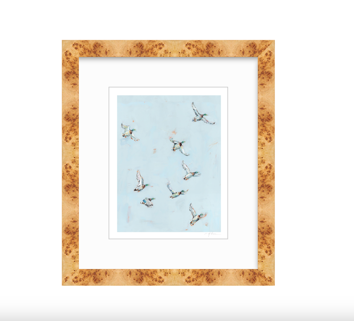 Free Flying Ducks Fine Art Print