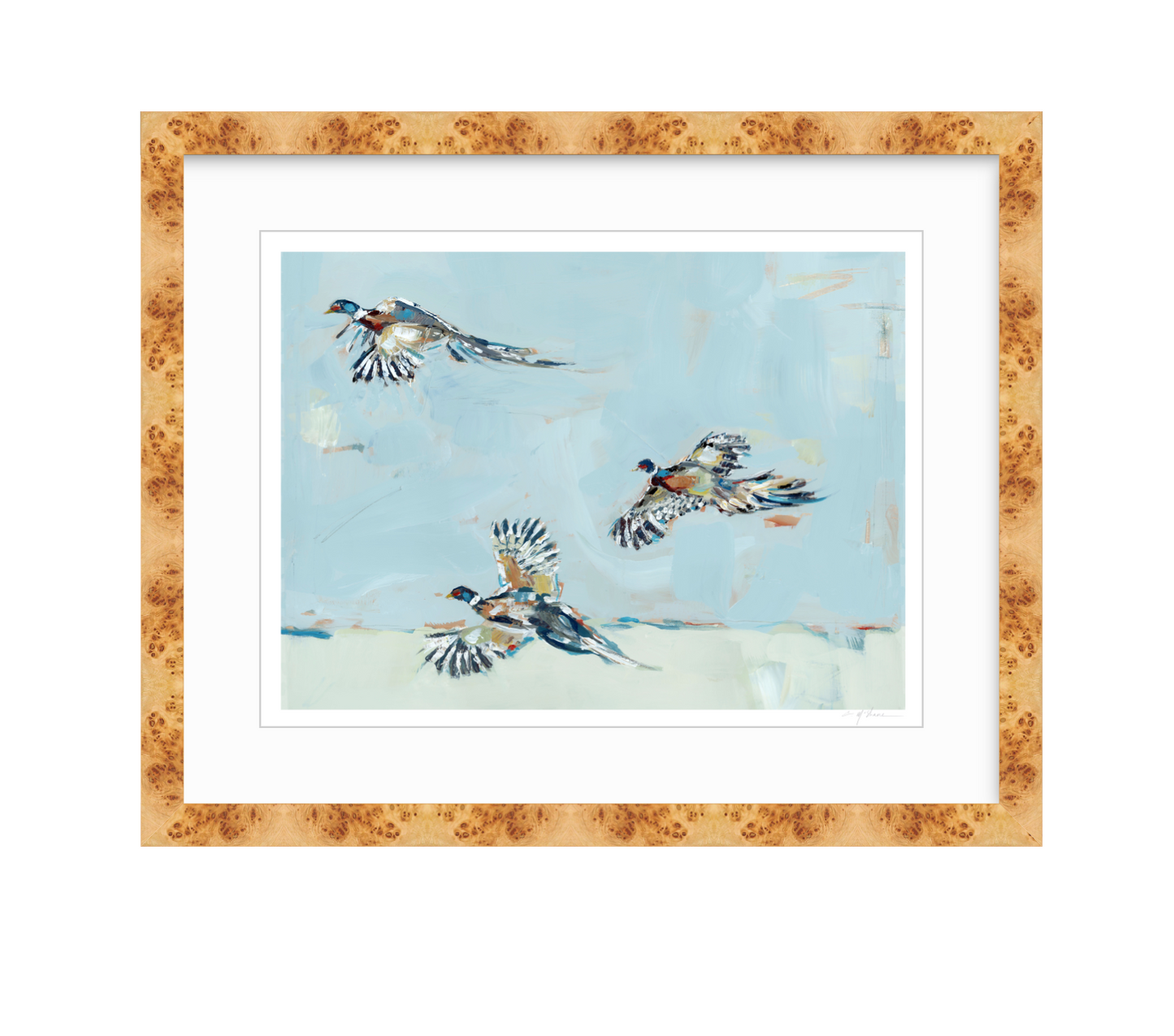 Pheasantly Surpised Pheasant Fine Art Print