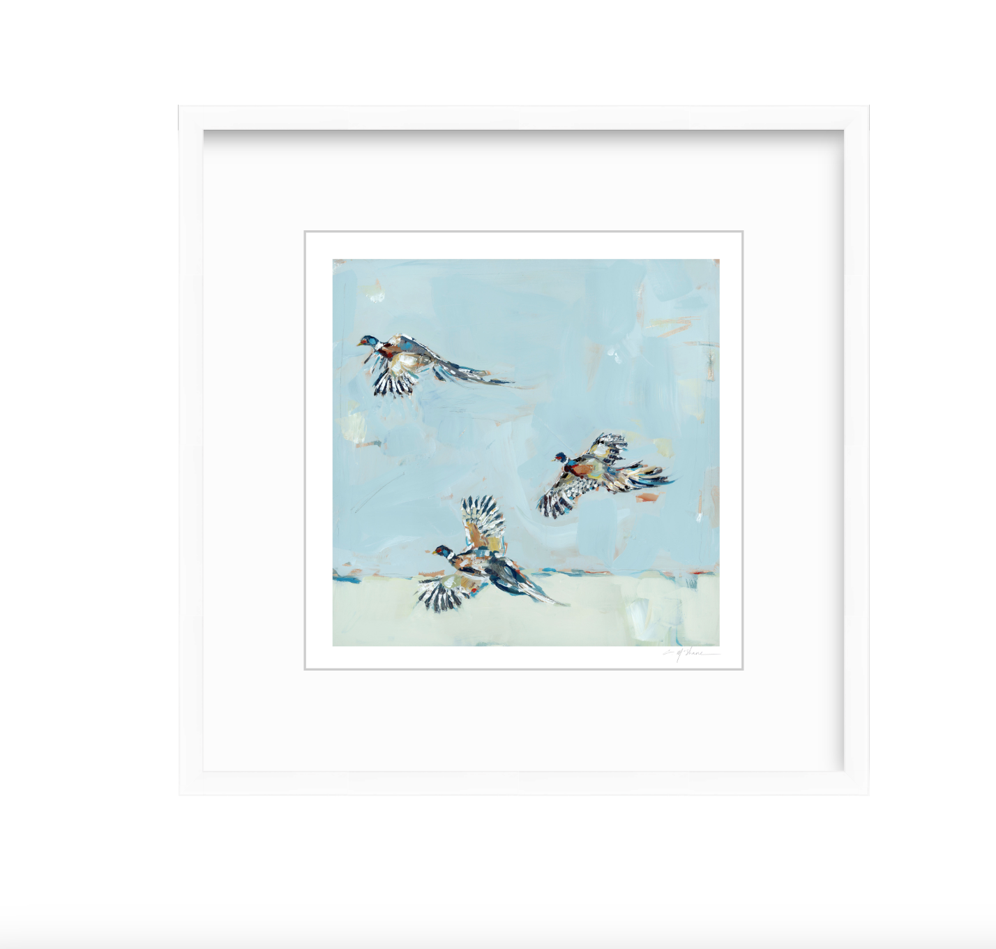 Pheasantly Surpised Pheasant Fine Art Print