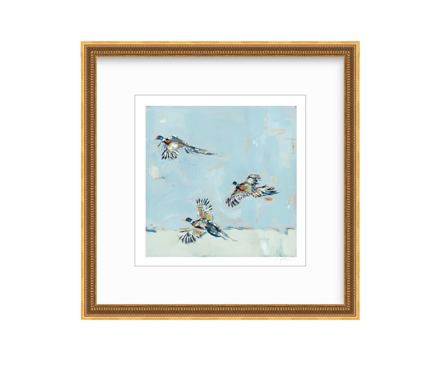 Pheasantly Surpised Pheasant Fine Art Print