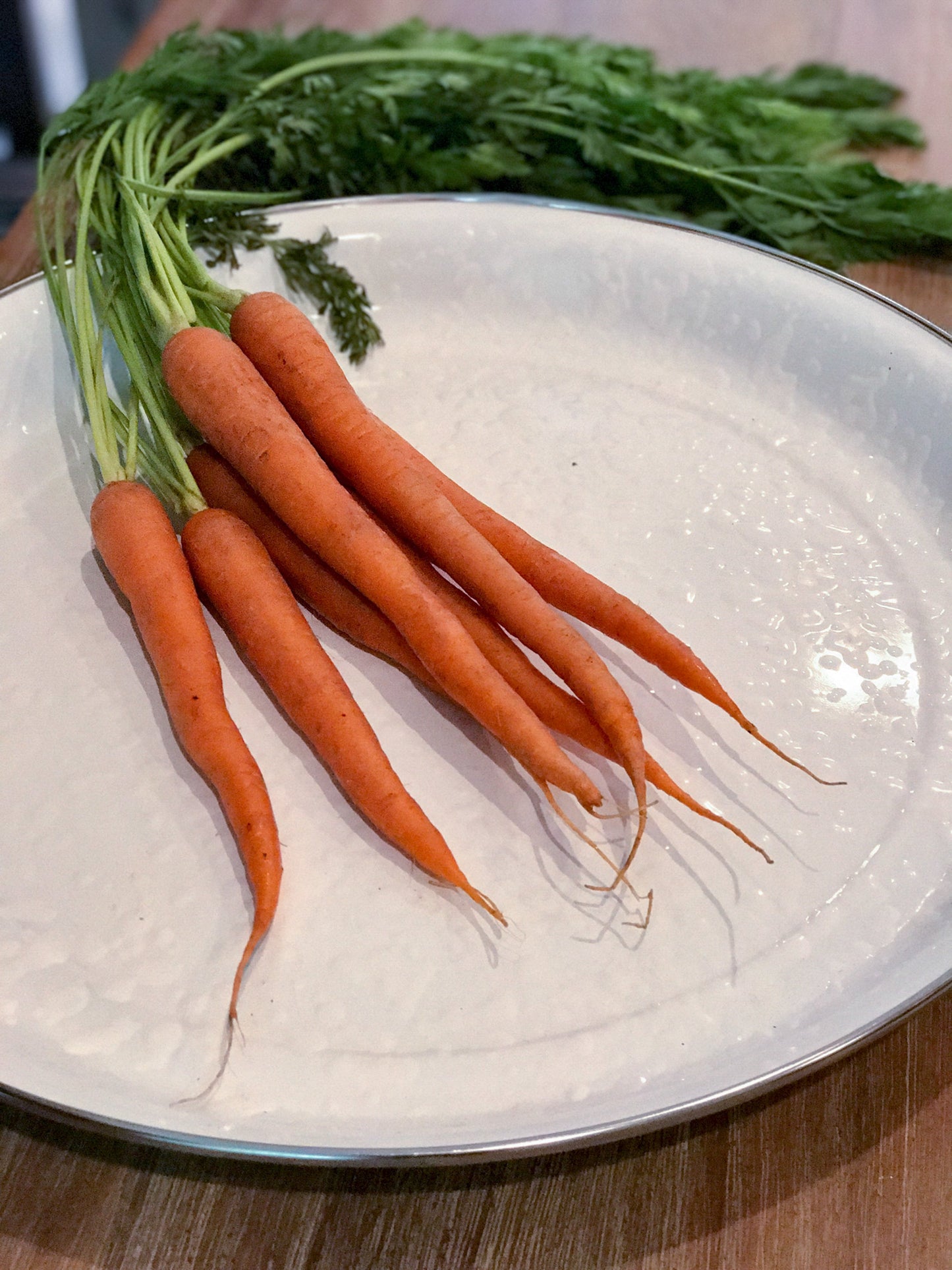 White Solid Medium Tray