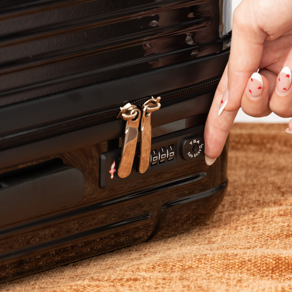Check-In Luggage