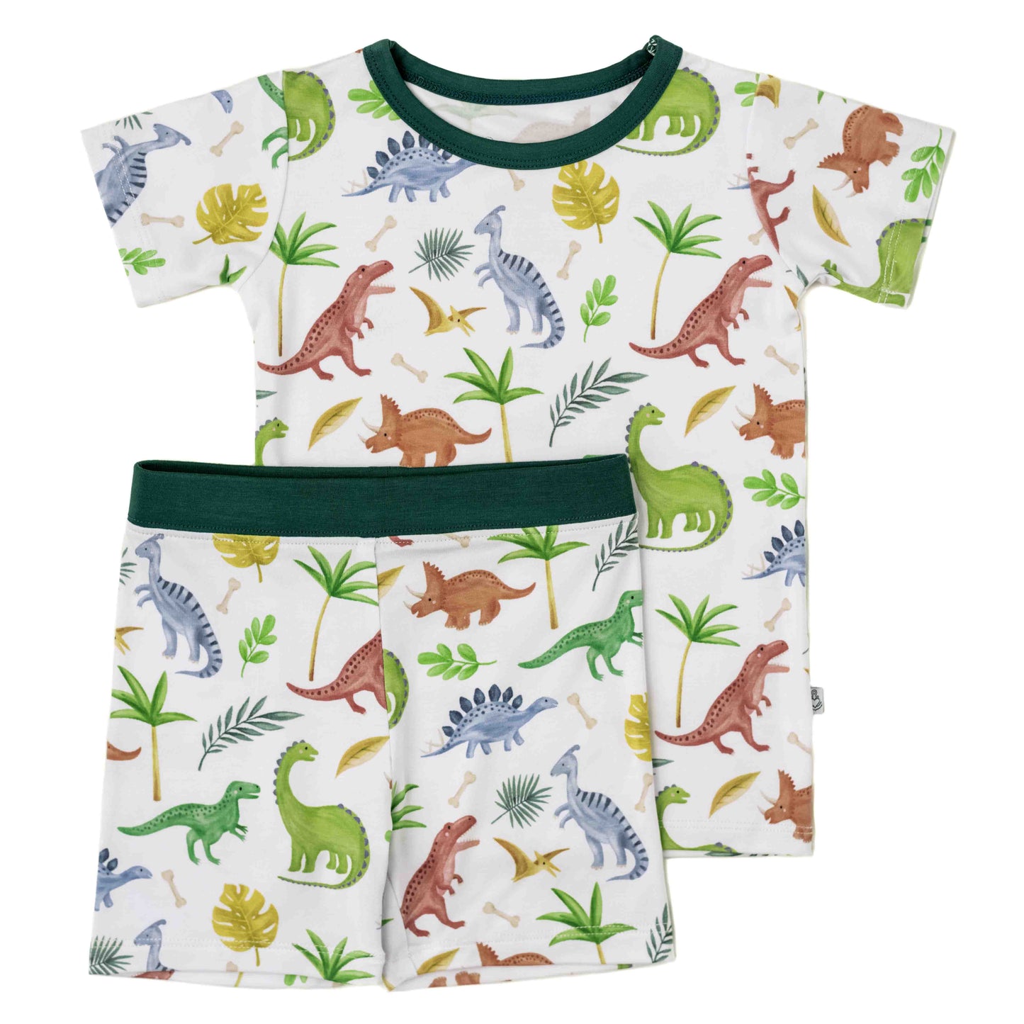 Dinosaur Land | Two-Piece Bamboo Short Sleeve Toddler & Kids Set