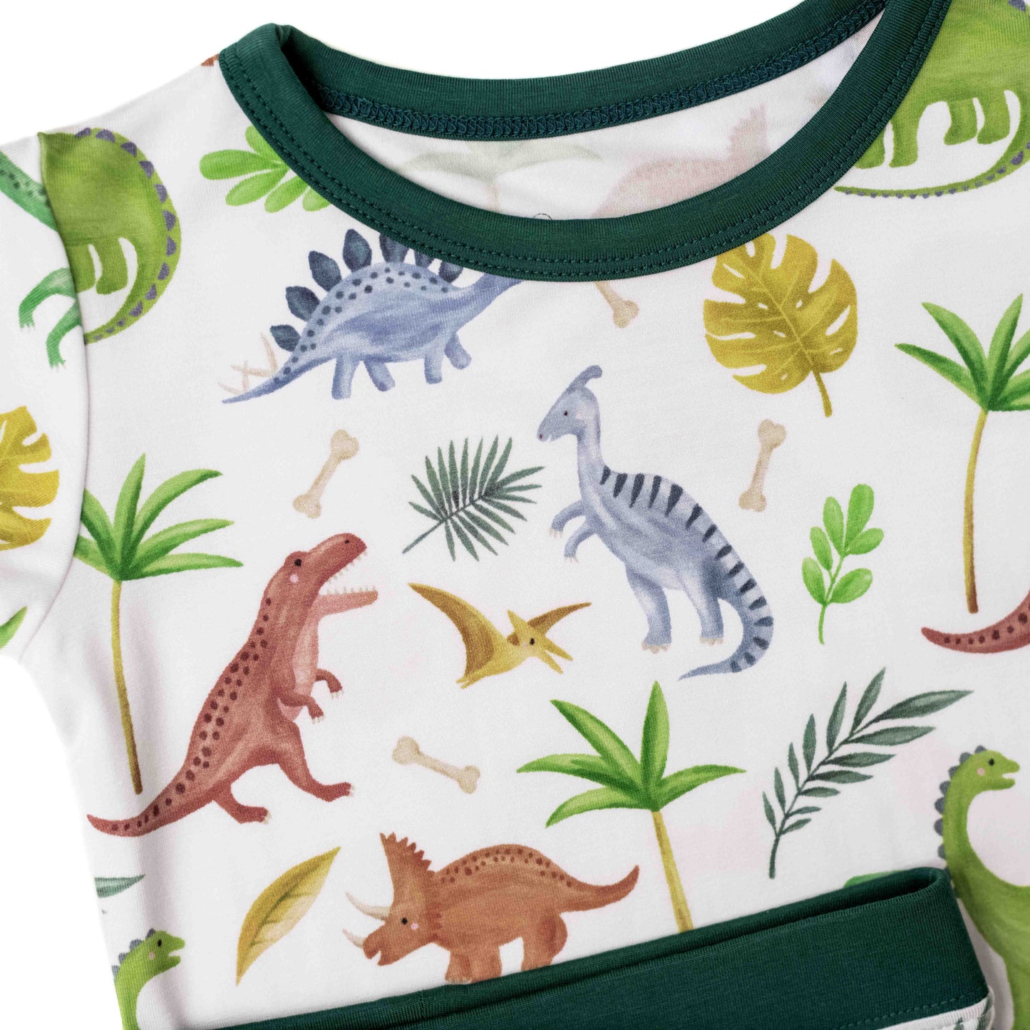 Dinosaur Land | Two-Piece Bamboo Short Sleeve Toddler & Kids Set