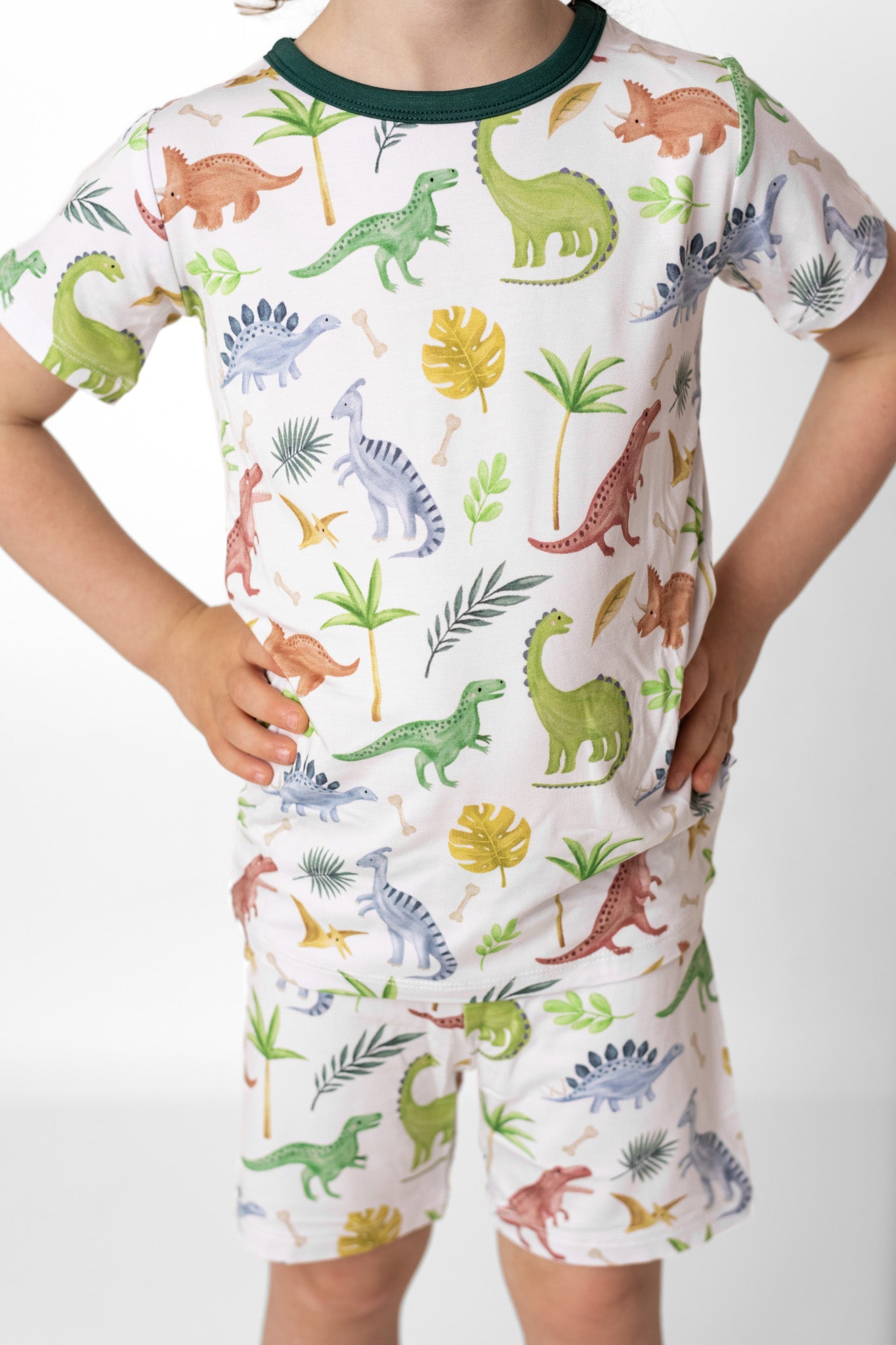 Dinosaur Land | Two-Piece Bamboo Short Sleeve Toddler & Kids Set