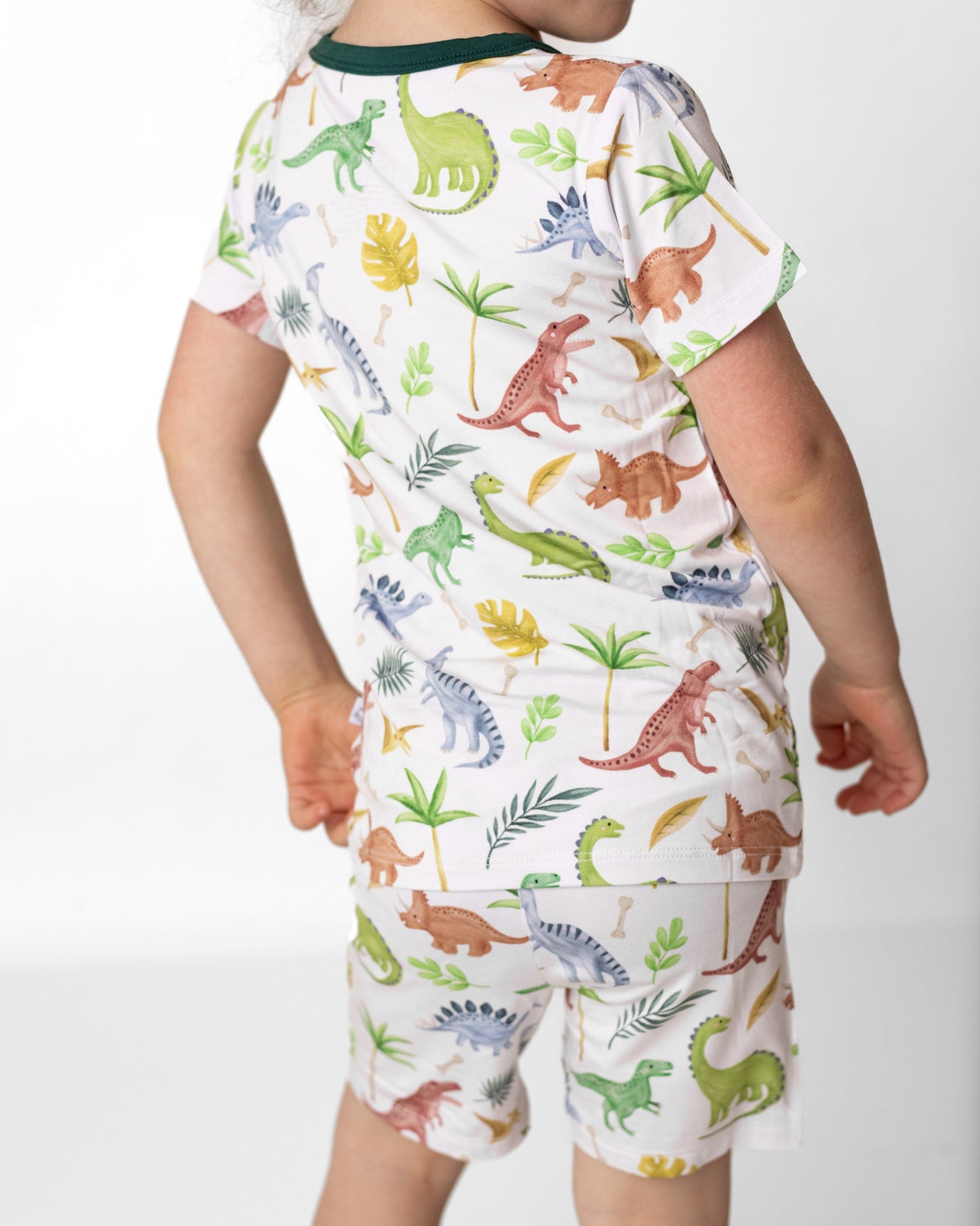 Dinosaur Land | Two-Piece Bamboo Short Sleeve Toddler & Kids Set