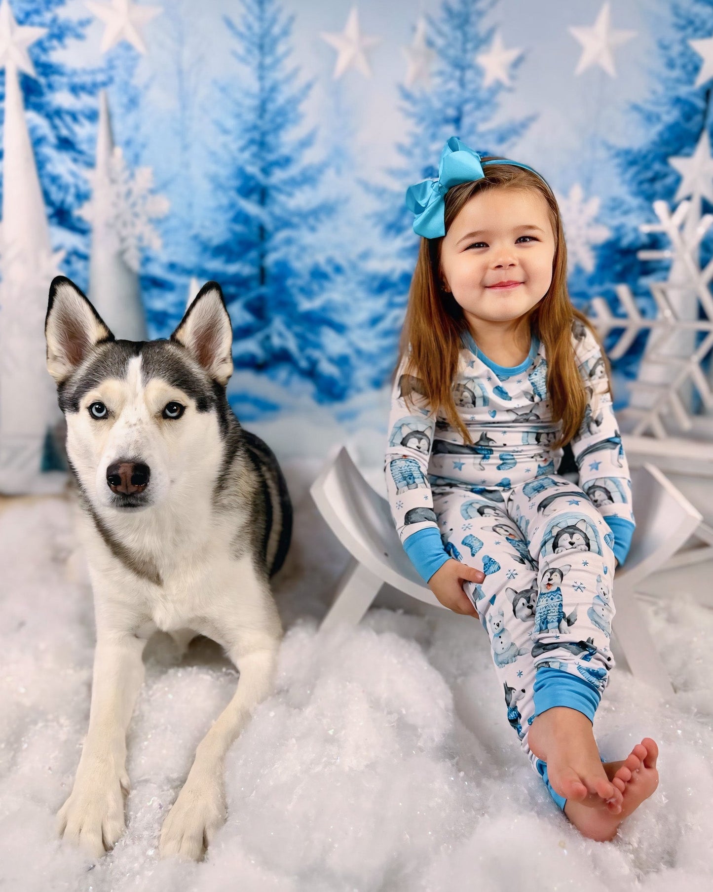 Arctic Huskies | Bamboo Two-Piece Pajamas