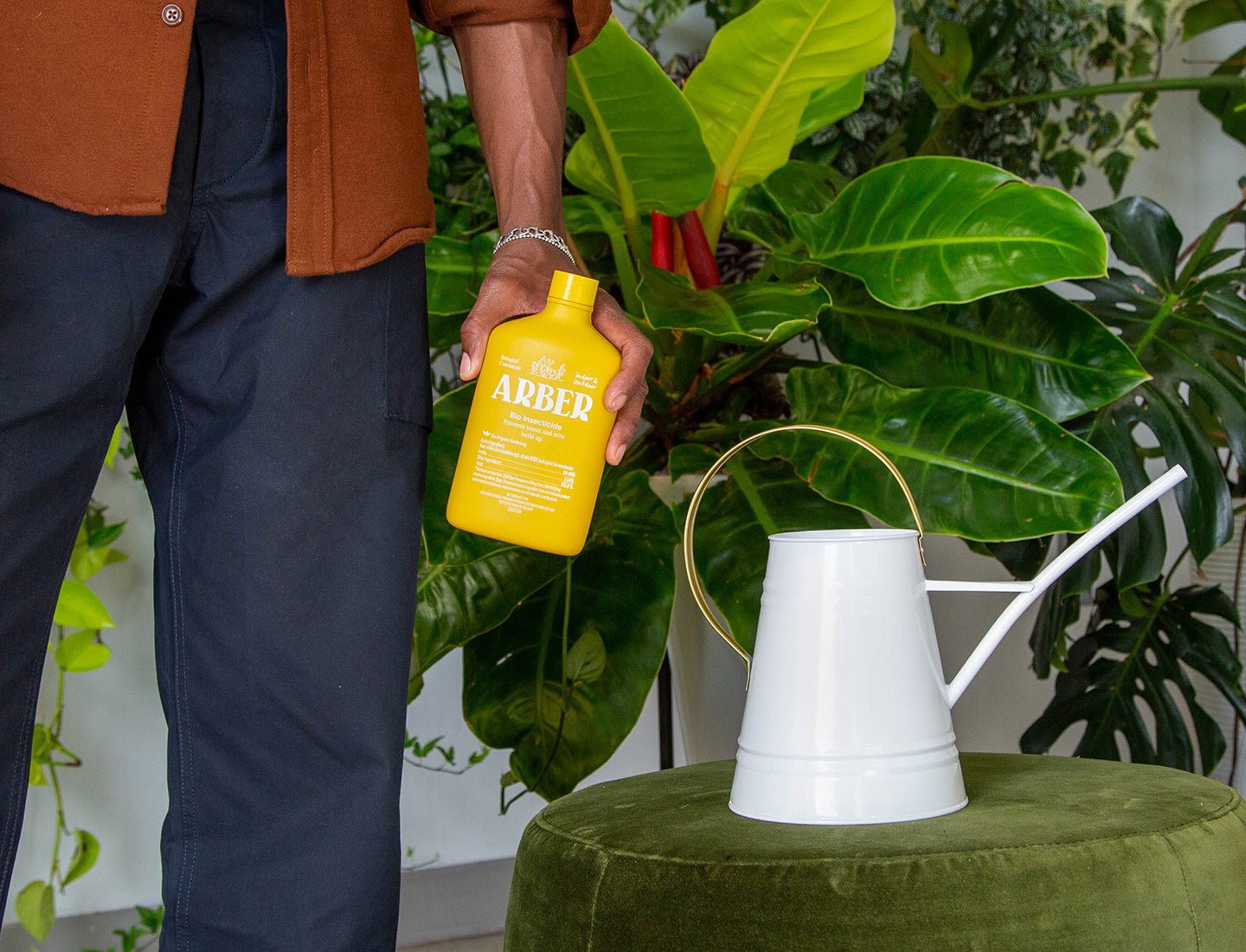 Organic Bio Insecticide | Natural Pest Control for Plants | House Plant Shop