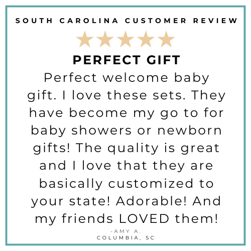 Charleston Rainbow , South Carolina Newborn Gift Bundle: Swaddle, Bib & Onesie