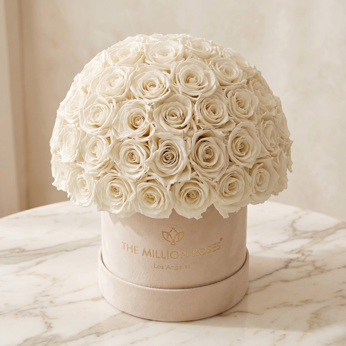 Classic Beige Suede Superdome Box | White Roses