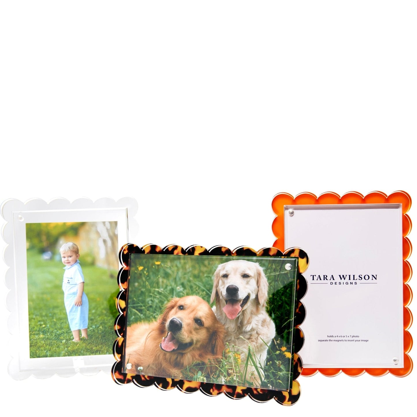 Clear Acrylic Scallop Frame