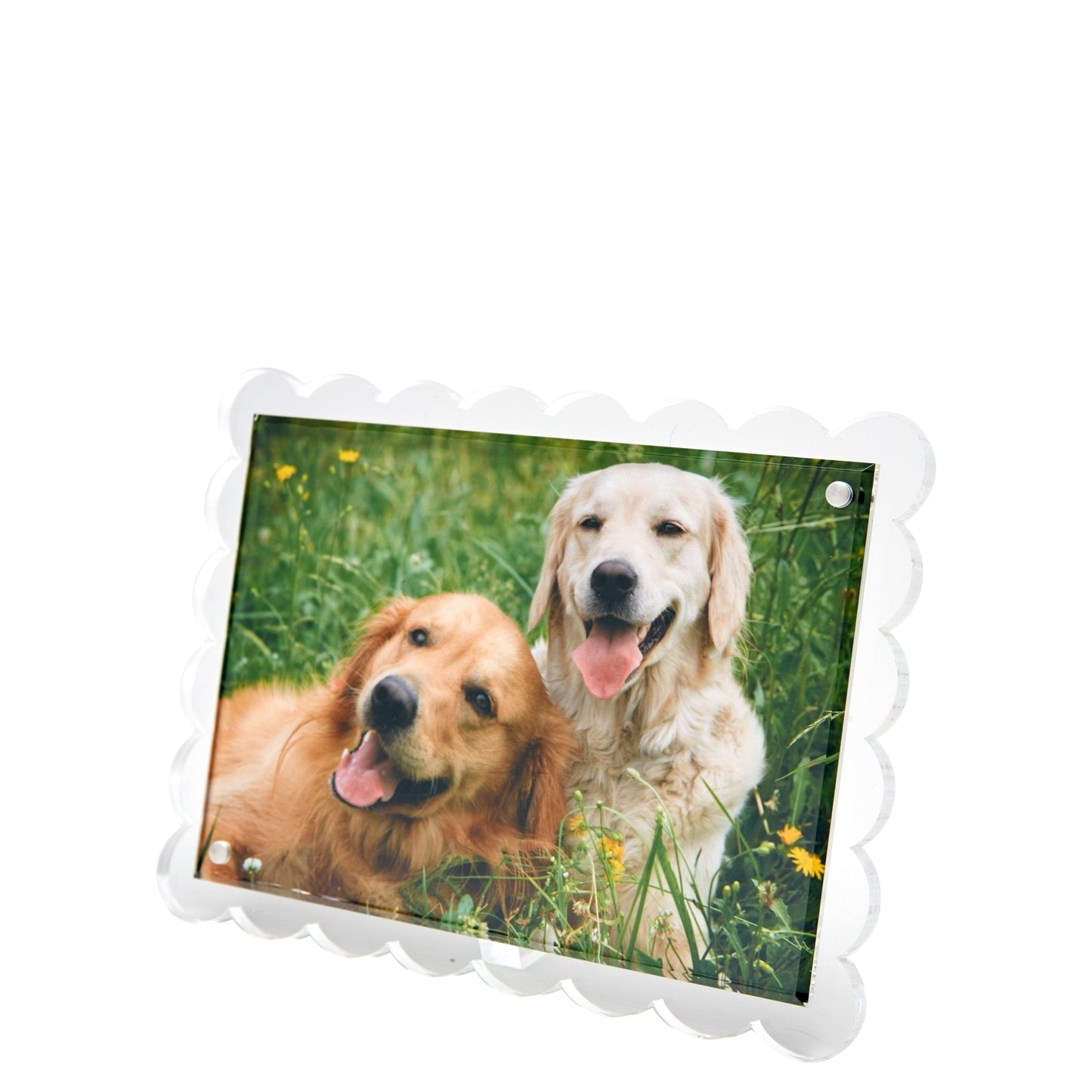 Clear Acrylic Scallop Frame
